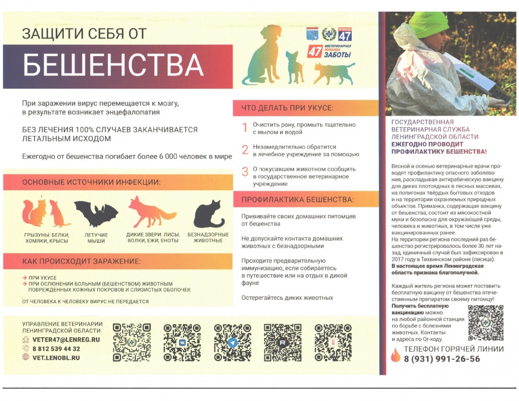    _page-0001.jpg